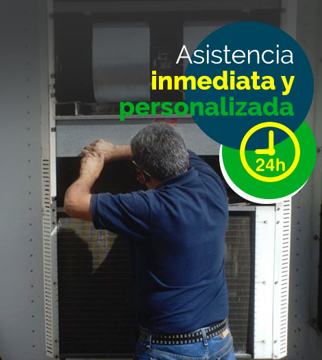 Asistencia técnica 24 horas